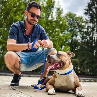 🐶 Aké máte plány na víkend? My poriadne sa vybehať a užiť si prírodu. Navštívte www.haukaci.sk a pozrite výber vodítok a...